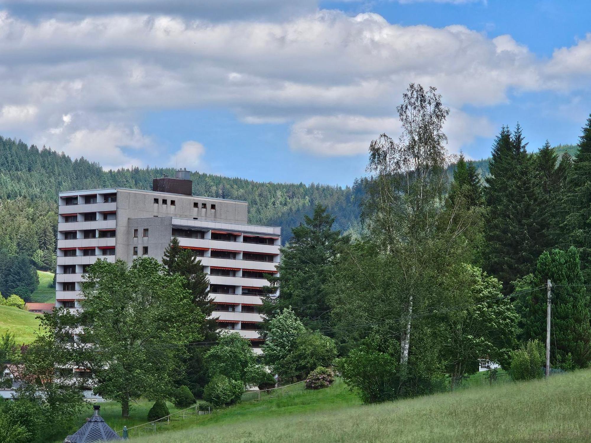 Ferienwohnung Vogelnest Im Schwarzwald Байрсброн Экстерьер фото