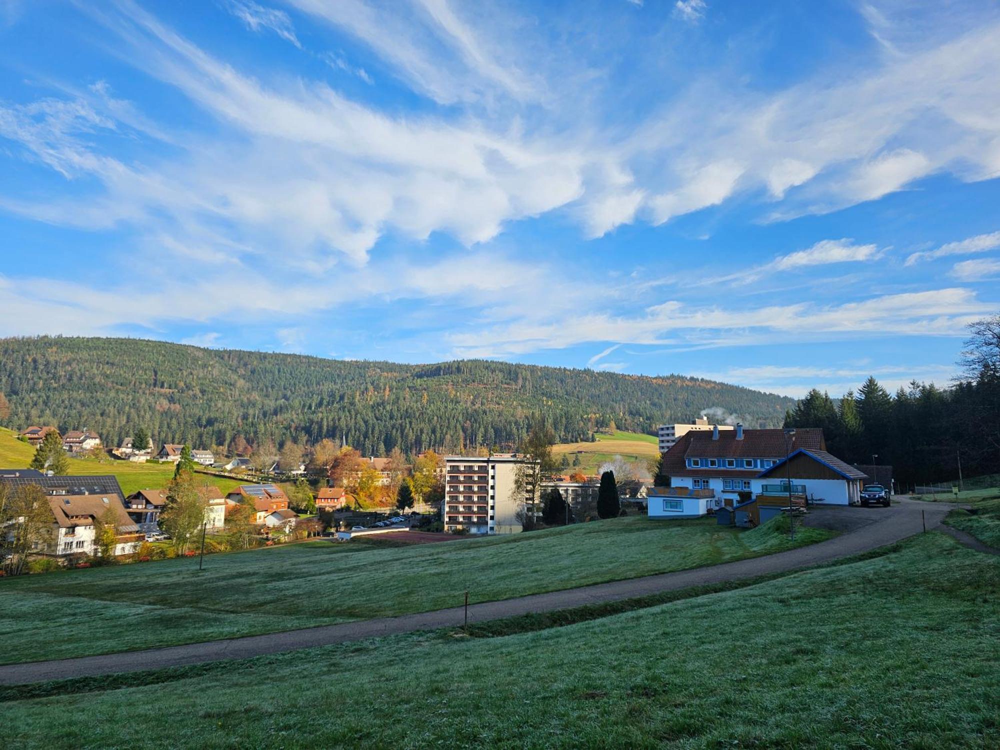 Ferienwohnung Vogelnest Im Schwarzwald Байрсброн Экстерьер фото